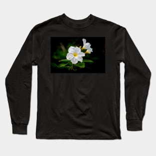 Mexican Olive Tree Blooms Long Sleeve T-Shirt